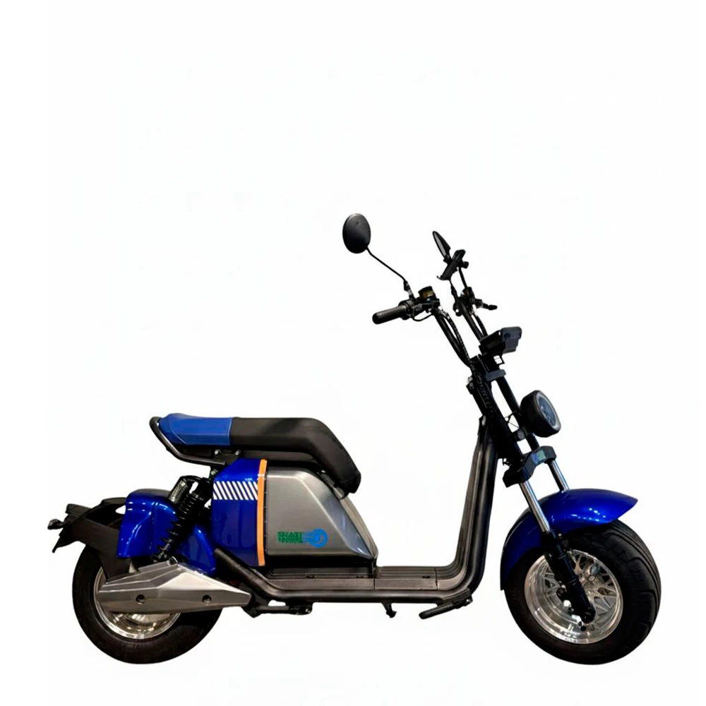 MOTO ELÉTRICA SMART WHEEL SW701 1000W 60V/20AH - BLUE