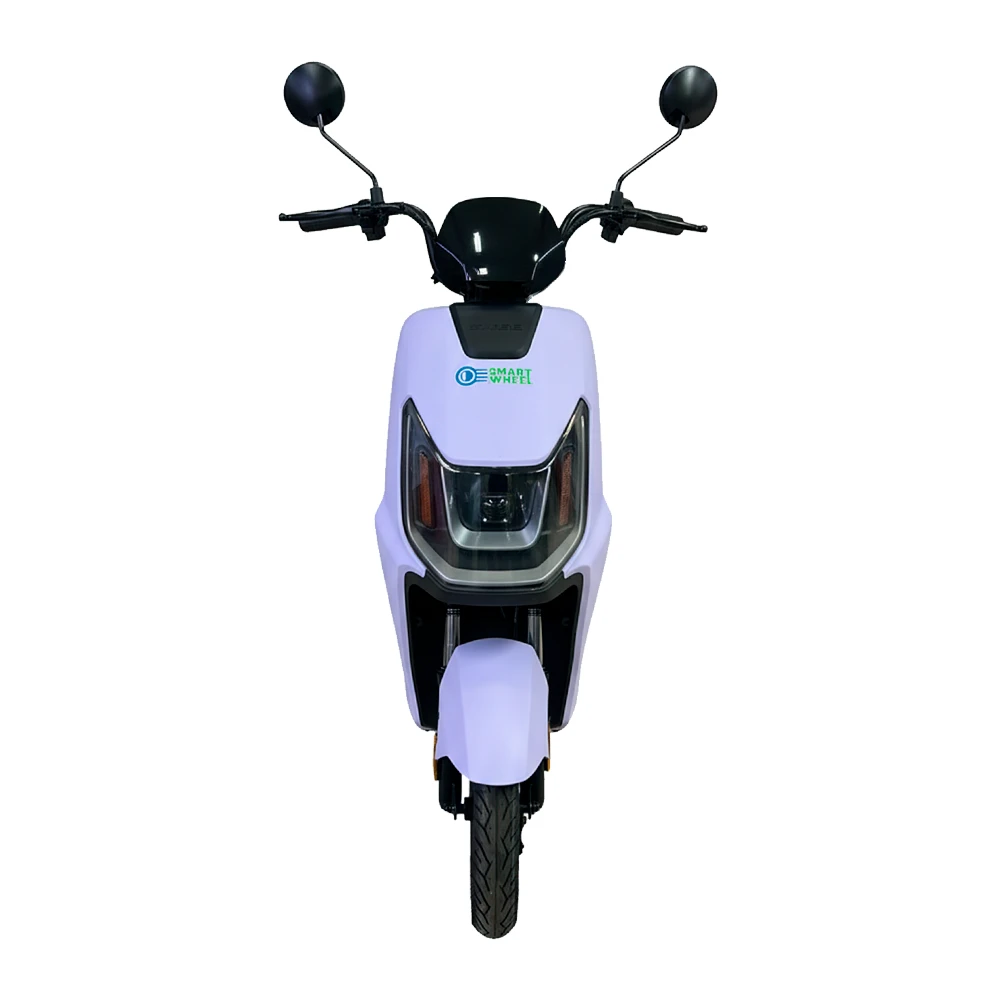 MOTO ELÉTRICA LATTLE SMART WHEEL 48V 12AH 500W 32KM/H C/ CAPACETE PURPLE